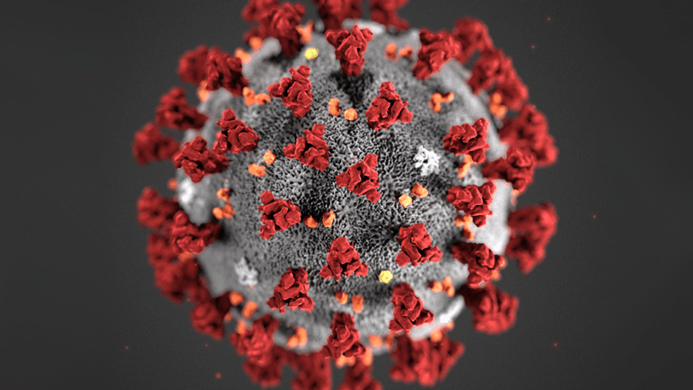 Om coronaviruset